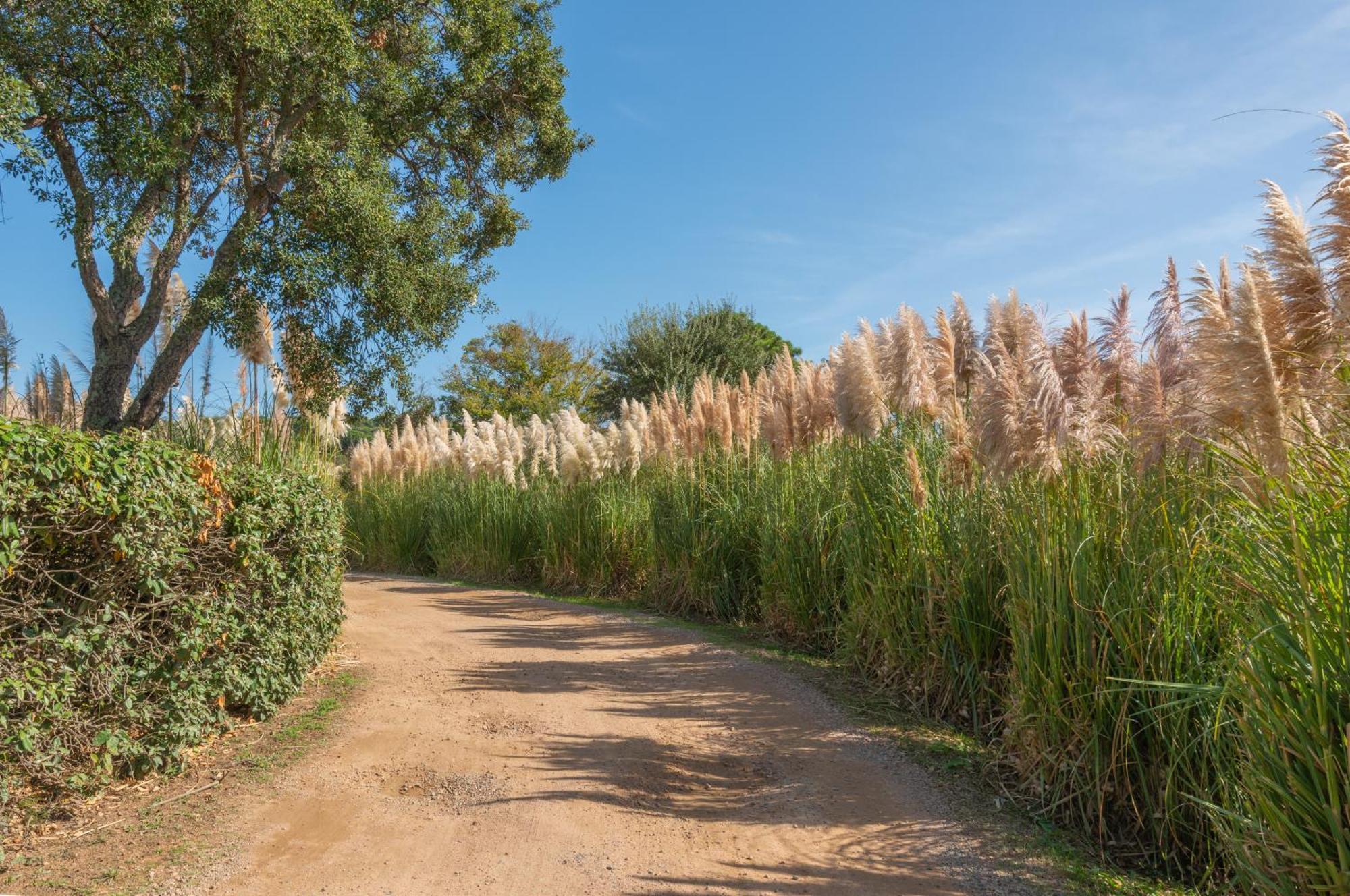 Residence Domaine De Caranella Porto-Vecchio  Ngoại thất bức ảnh